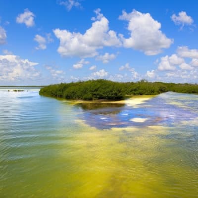 Escapade à l'exceptionnelle réserve naturelle de Sian Ka'an