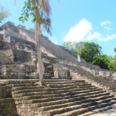 Le monde perdu de Calakmul