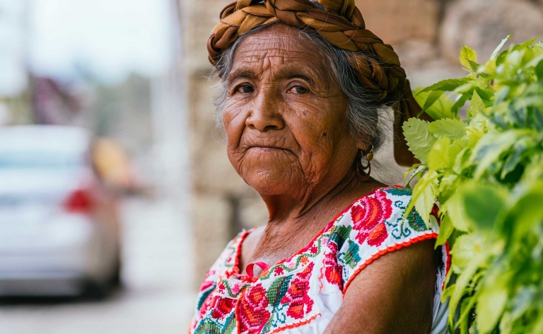 Oaxaca : histoire, art et saveurs  