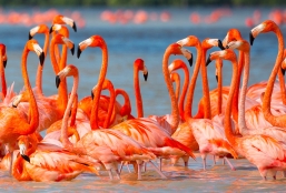 Mexique en famille